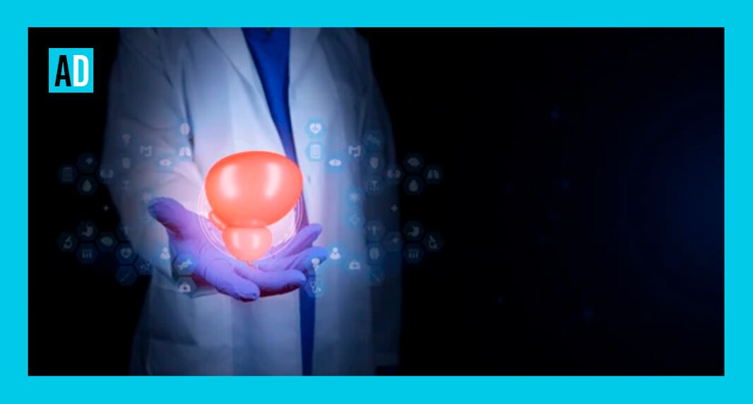 Prostata Gesondheet erhalen